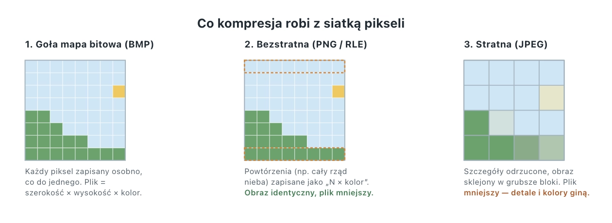 Co to jest BMP? Goła mapa bitowa — i lekcja o tym, czym naprawdę jest kompresja